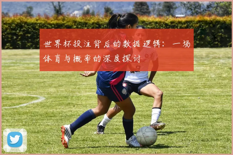 世界杯投注背后的数据逻辑:一场体育与概率的深度探讨