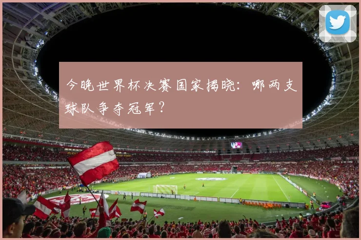 今晚世界杯决赛国家揭晓:哪两支球队争夺冠军?