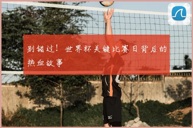别错过！世界杯关键比赛日背后的热血故事