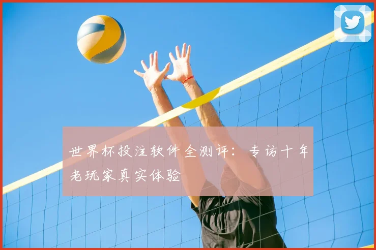 世界杯投注软件全测评:专访十年老玩家真实体验