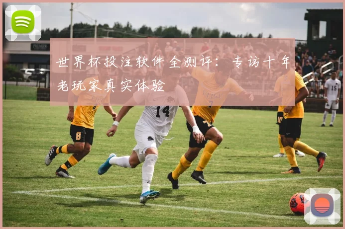 世界杯投注软件全测评:专访十年老玩家真实体验