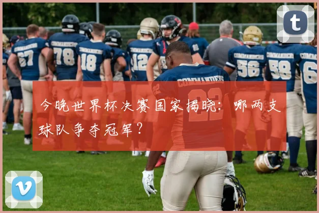 今晚世界杯决赛国家揭晓:哪两支球队争夺冠军?